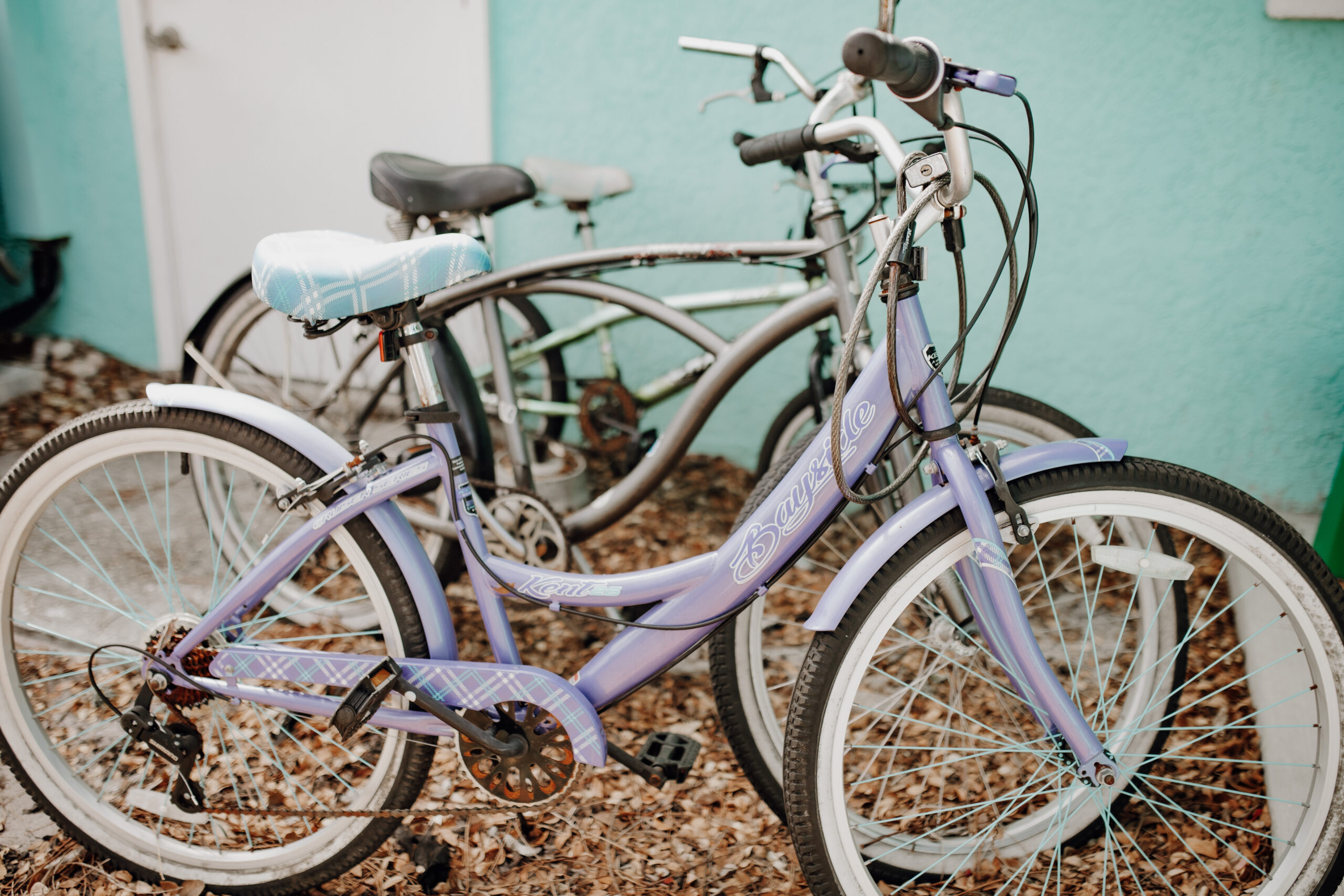 Bicycles for the women female residents of FRESH LIFE RECOVERY HOMES for sober living to use to get exercise and to get to their workplace.