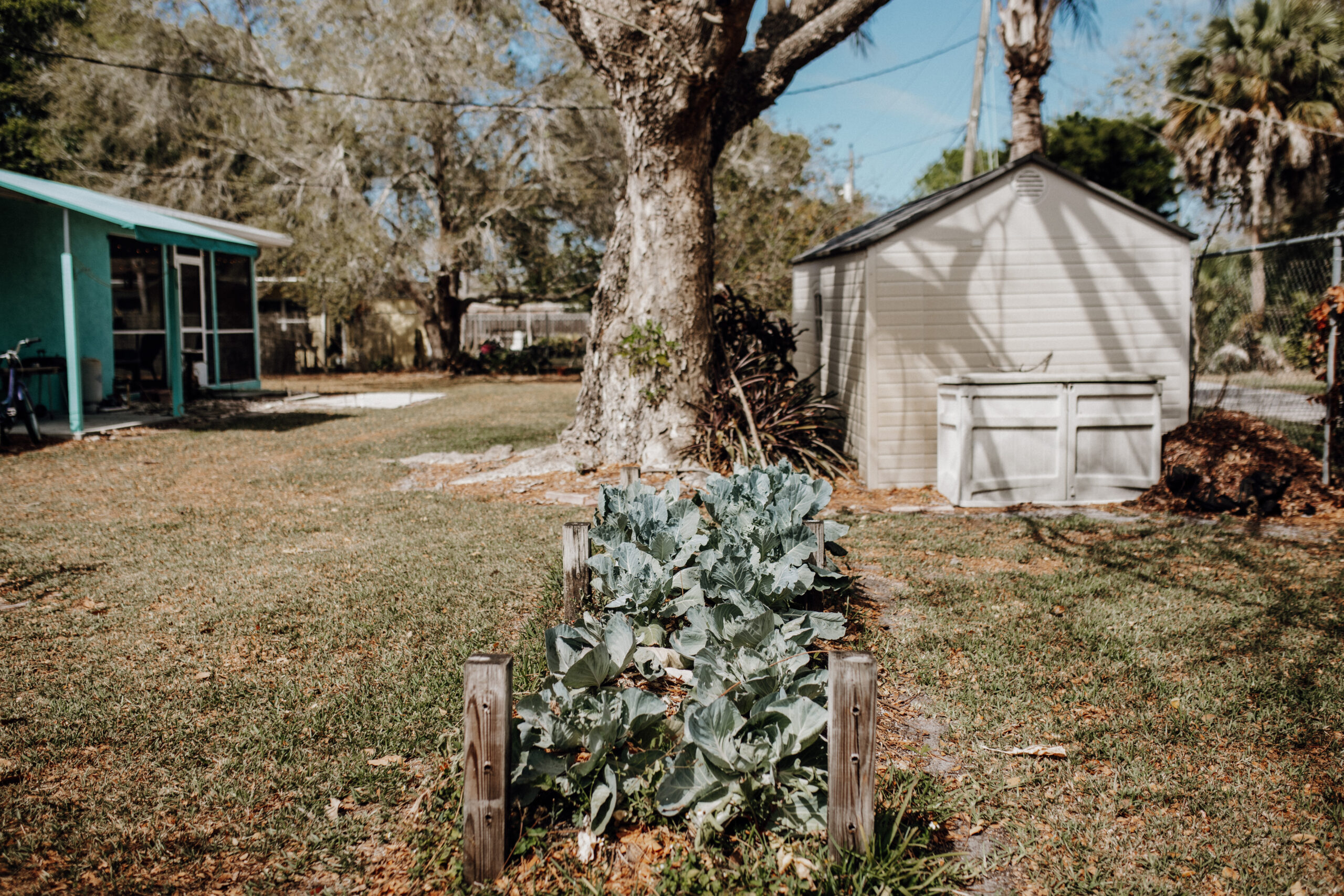 The backyard and garden and grounds of a FRESH LIFE RECOVERY HOMES residence for sober living for women in Bradenton, Florida,